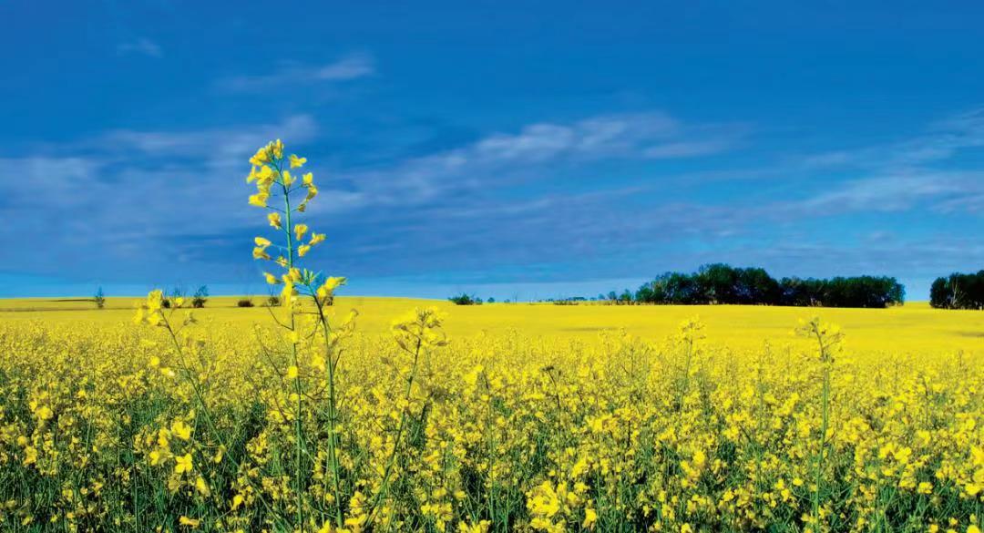 微信截图_20230206115244.png 图片